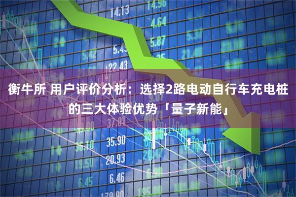 衡牛所 用户评价分析：选择2路电动自行车充电桩的三大体验优势「量子新能」
