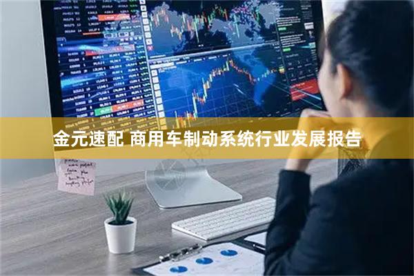 金元速配 商用车制动系统行业发展报告