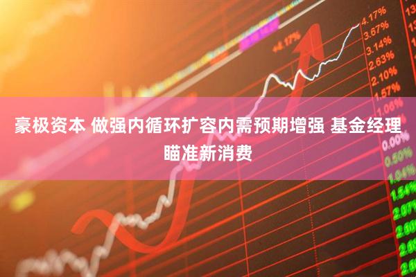 豪极资本 做强内循环扩容内需预期增强 基金经理瞄准新消费
