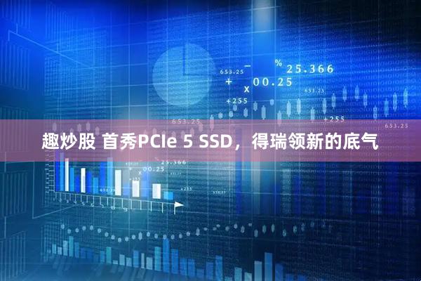 趣炒股 首秀PCIe 5 SSD，得瑞领新的底气