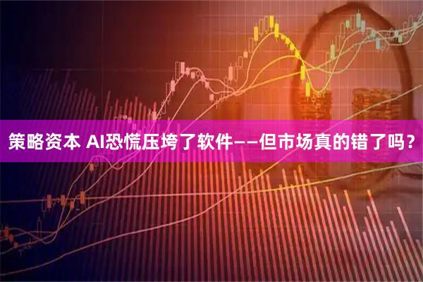策略资本 AI恐慌压垮了软件——但市场真的错了吗？