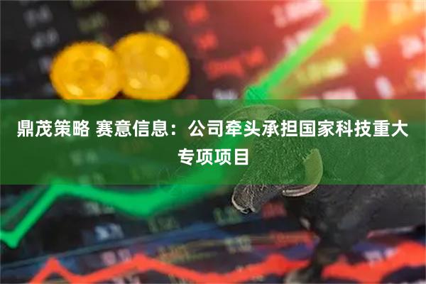 鼎茂策略 赛意信息：公司牵头承担国家科技重大专项项目